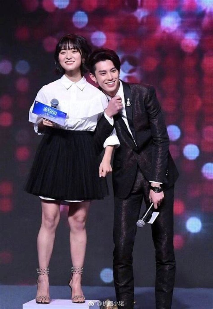 Dylan Wang and Shen Yue: A Journey Through Their Stardom and Chemistry