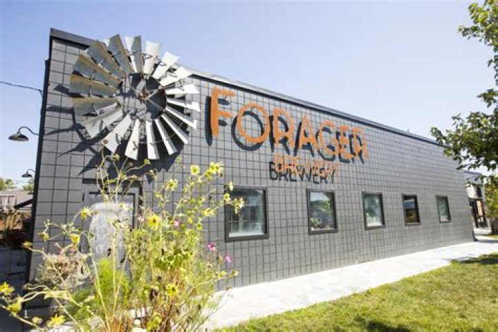 Forager Rochester MN: A Culinary Adventure Awaits