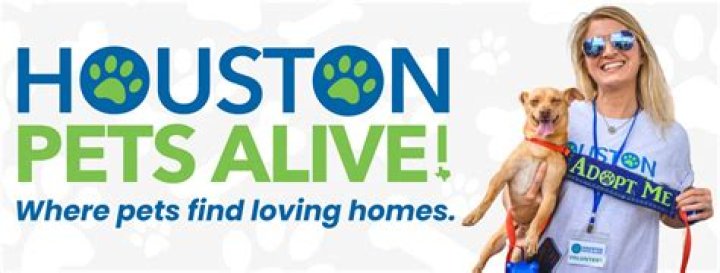 Houston Humane Society Almeda Road: A Comprehensive Guide to Animal Welfare