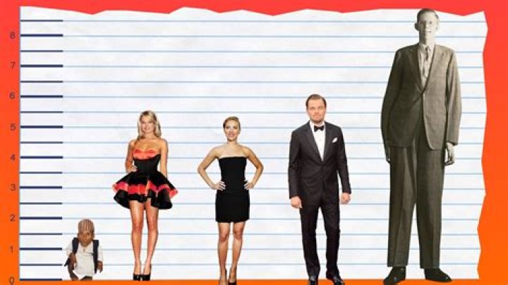 How Tall is Margot Robbie? Discovering the Height of Hollywood's Favorite Actress