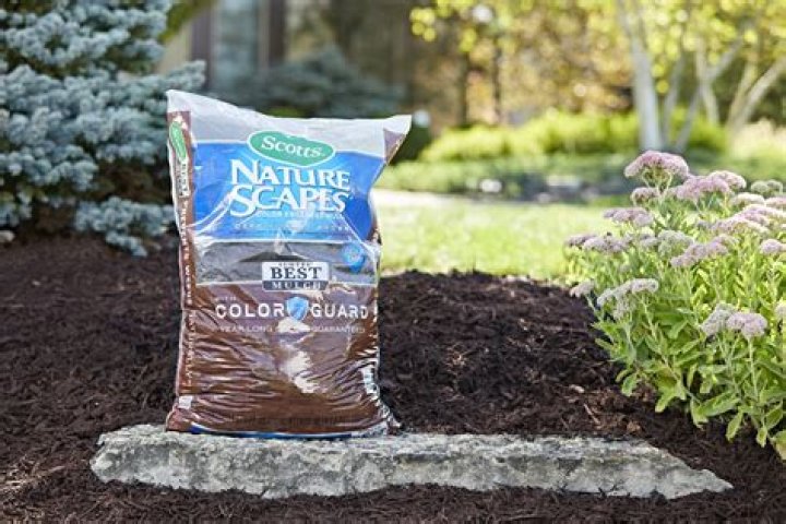Discover Amazing Deals: Lowe's Mulch Sale for Your Gardening Needs