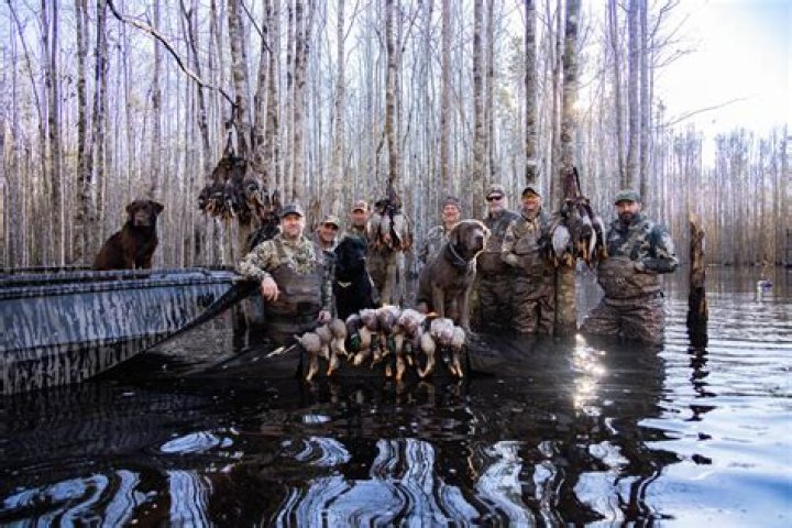 Mossy Pond Retrievers: The Ultimate Guide to This Unique Dog Breed