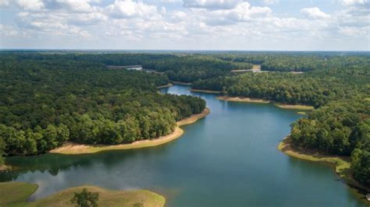 Newnan Utilities: Comprehensive Guide to Essential Services