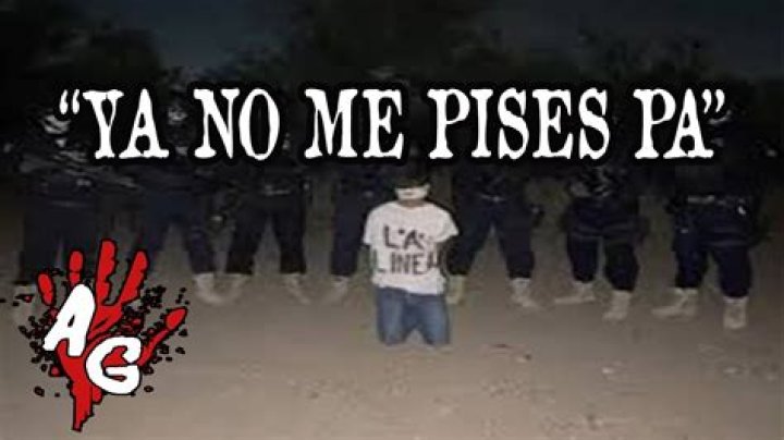 No Me Pises Pa: The Cultural Phenomenon of a Viral Song