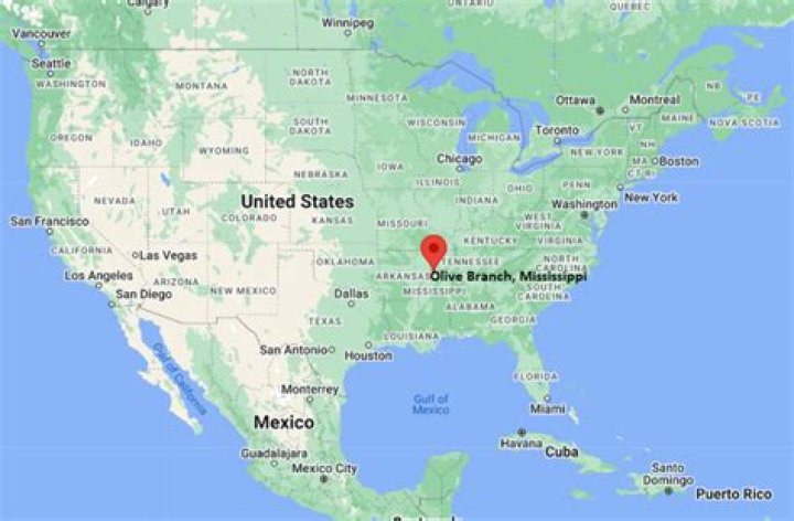 Understanding the Olive Branch MS: A Comprehensive Guide