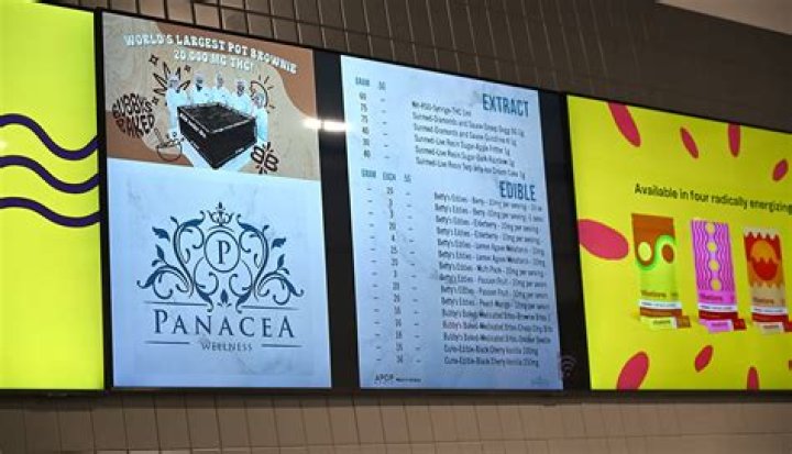 Discovering Panacea Wellness: Your Path to Holistic Health