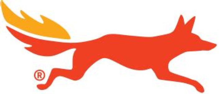 Red Coyote Running: The Ultimate Guide to This Fascinating Species