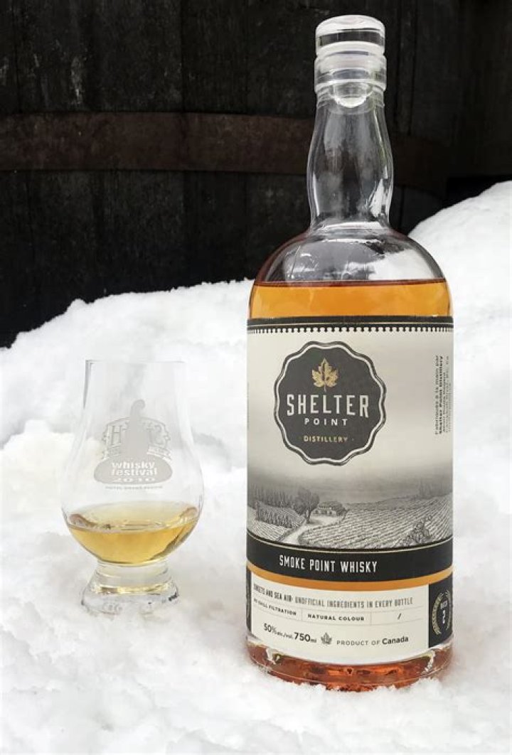 Shelter Point: A Comprehensive Guide to Understanding Its Importance and Benefits