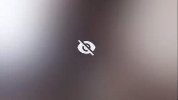 Skirby Dog: The Ultimate Guide to Understanding This Unique Breed