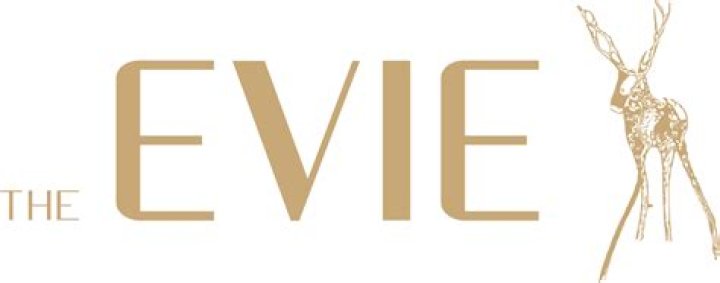 The Evie: A Comprehensive Guide to This Revolutionary Concept