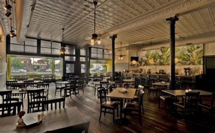 Thyme Square: The Ultimate Guide to Understanding Its Benefits and Uses