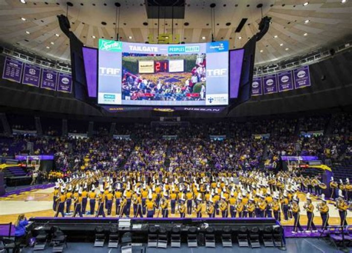 Tiger Athletic Foundation: Empowering Youth Through Sports and Education