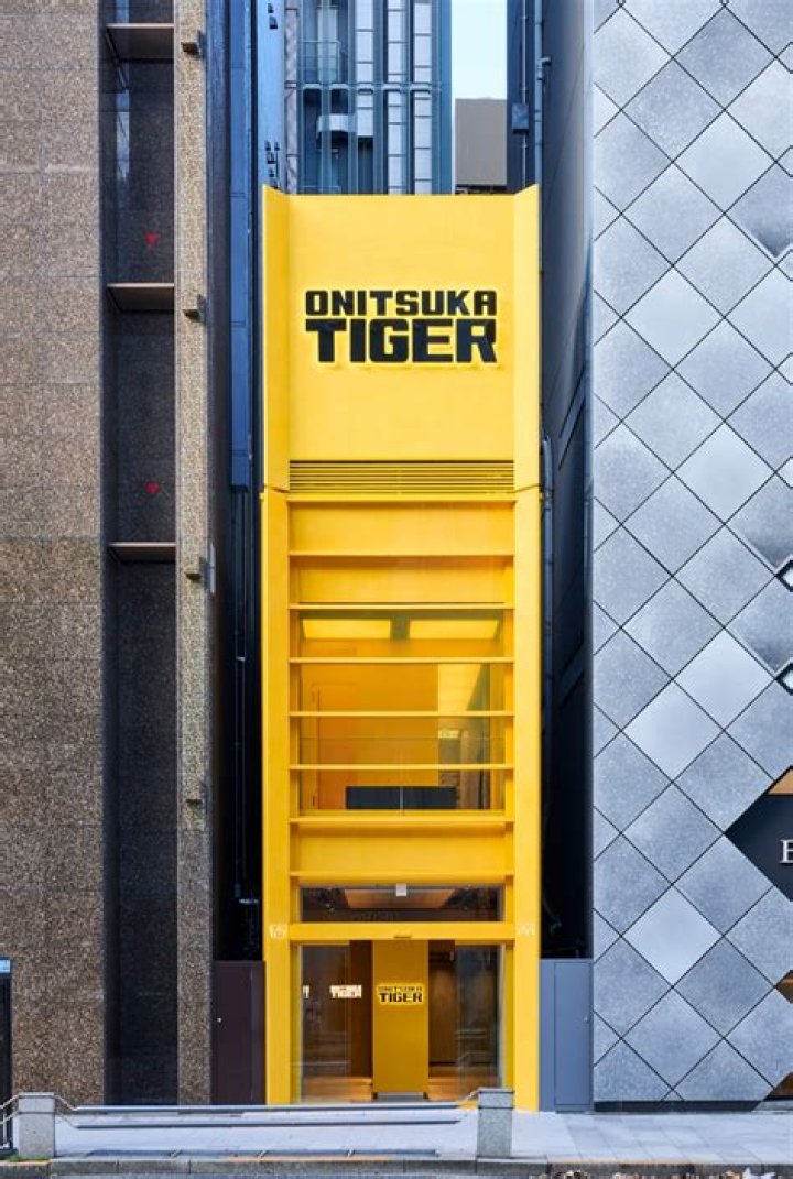 Exploring the Unique Offerings of Tokyo Tiger Store