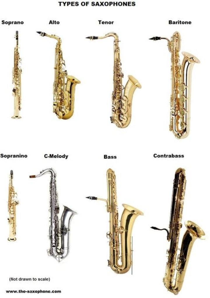 The Comprehensive Guide to Different Types of Saxophones: Understanding Their Unique Characteristics and Uses