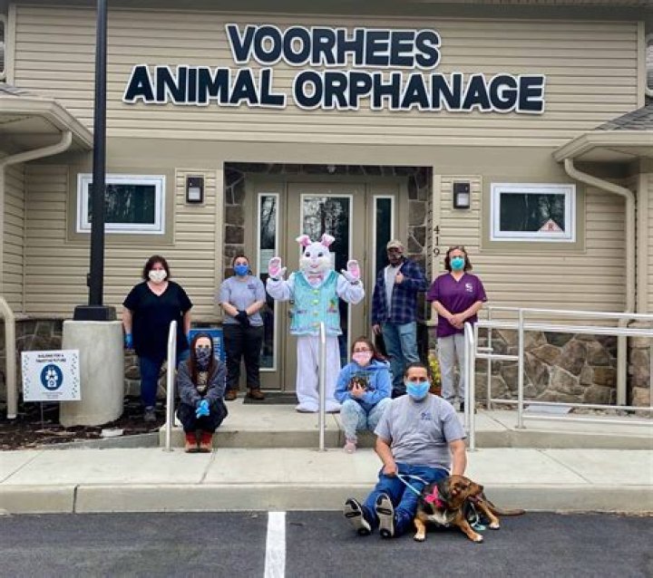 Voorhees Animal Shelter: A Comprehensive Guide to Its Mission, Services, and Community Impact