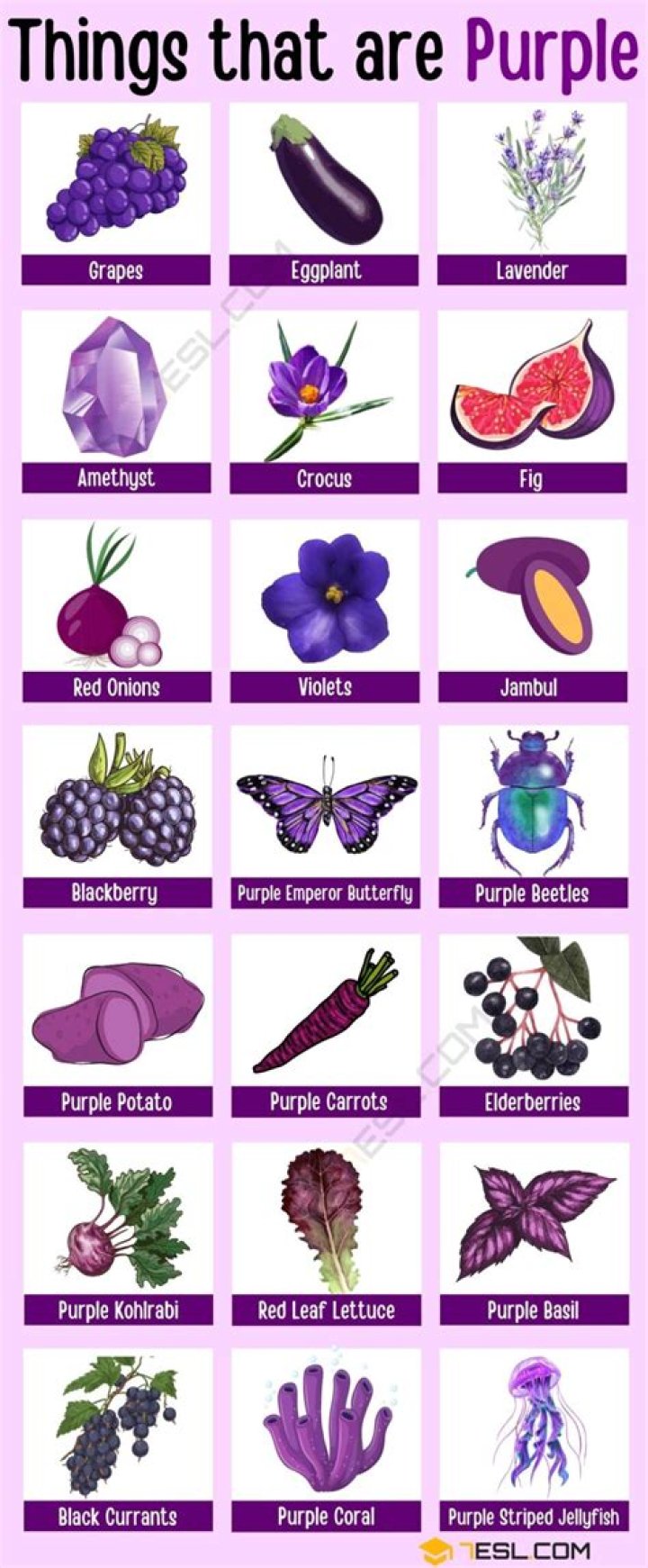 What items are purple