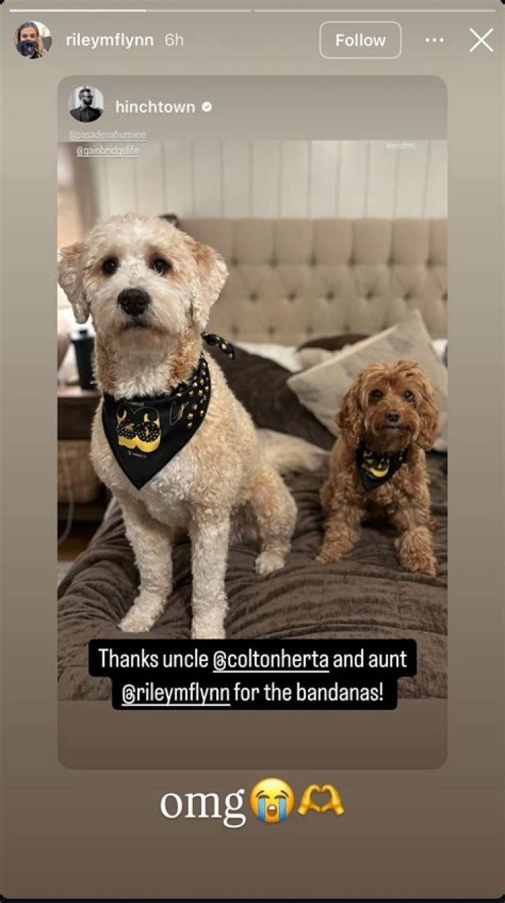 Who is Riley Flynn- Colton Herta Girlfriend? Meet The Couple On Instagram