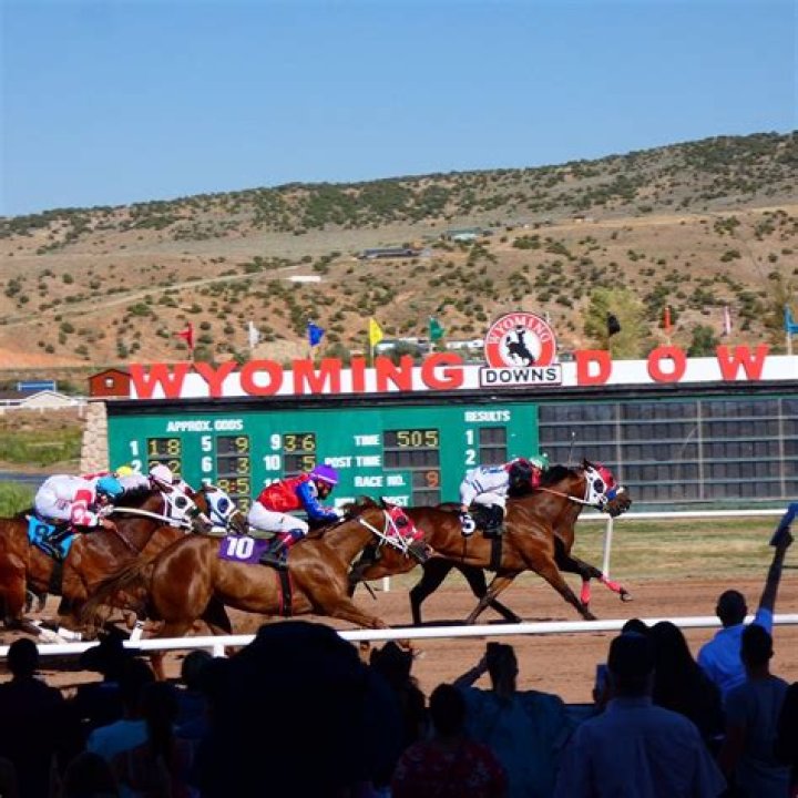 Exploring Wyoming Downs: A Comprehensive Guide to Horse Racing and Betting